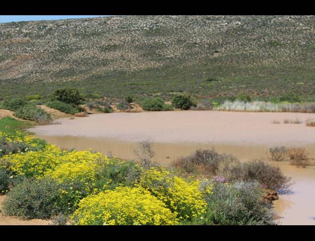 HA FARM FOR SALE IN CLANWILLIAM RURAL